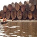 AMAZONAS 08